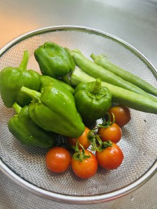 IMG_8925